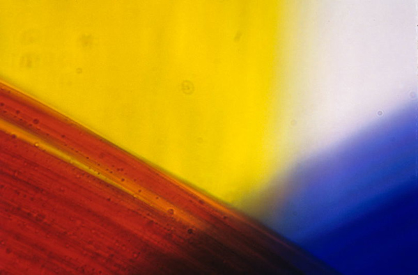 Biology 122: Microscopy